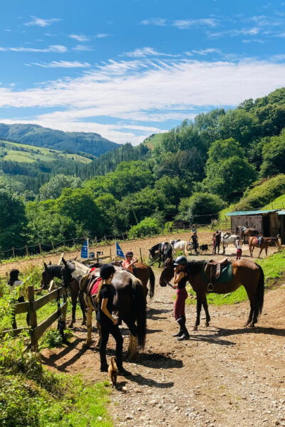 San Sebastian: Horseback Riding & Traditional Delights - About the Tour Provider