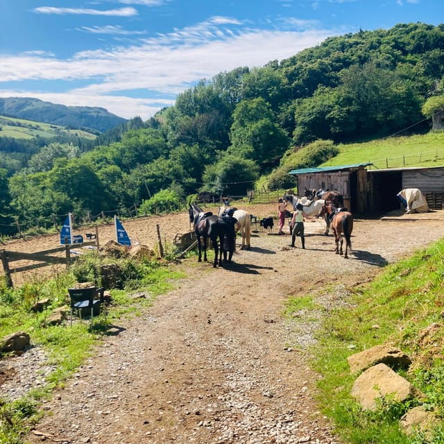 San Sebastian: Horseback Riding & Traditional Delights - Experience Highlights