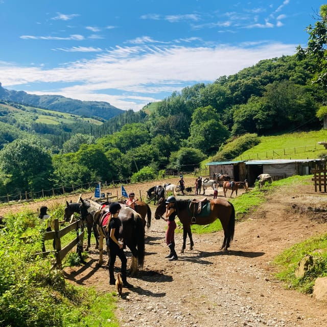 San Sebastian: Horseback Riding & Traditional Delights - Culinary Experience