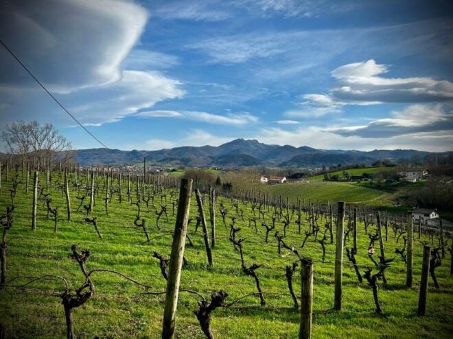 San Sebastian: Optimized Transfer to Biarritz & Surroundings - Inclusions