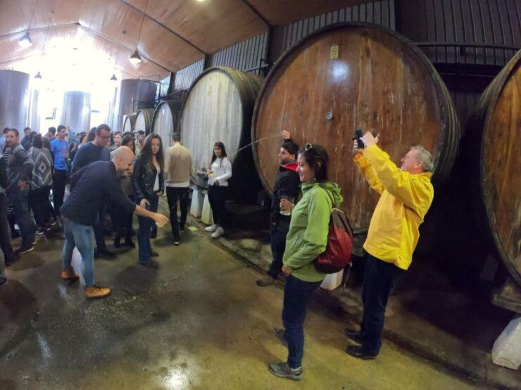 San Sebastián: Unique and Fun Basque Cider Culture Tour - Tour Details