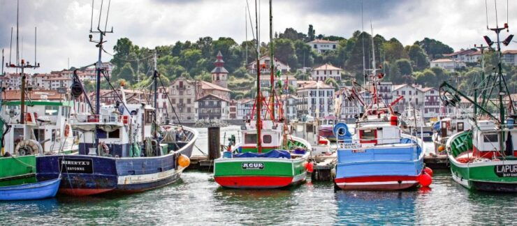 San Sebastián:Discover the Best of Basque and French Culture - Full Tour Description