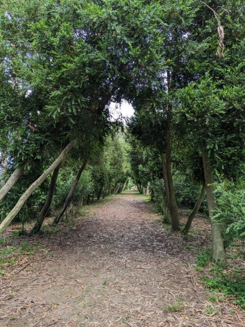 San Simón Island Excursion - Good To Know