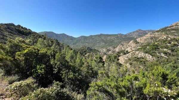 San Teodoro: Canyoning in Rio Pitrisconi With 4X4 Transfer - Frequently Asked Questions