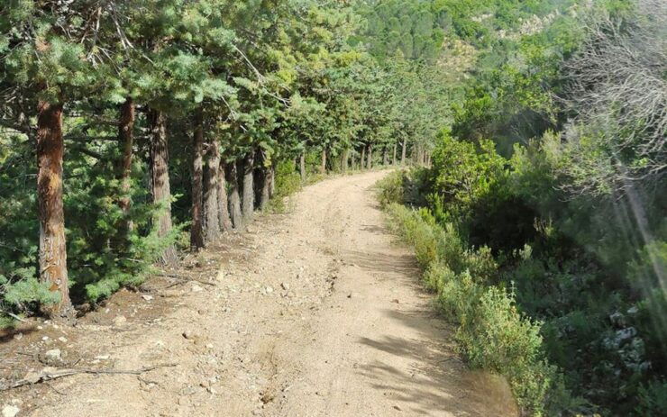 San Teodoro: Rio Pitrisconi Jeep and Hiking Tour - Tour Activity Details