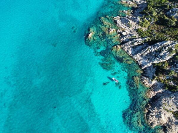 San Teodoro: Snorkeling in Tavolara Marine Protected Area - Frequently Asked Questions