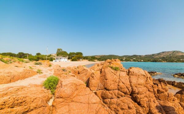 San Teodoro: Tour Tavolara With Lunch, Beaches, & Aperitif - Additional Details