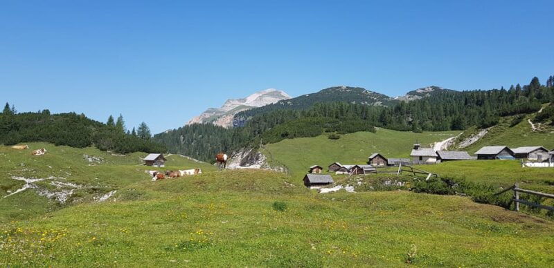 San Vigilio Di Marebbe: Trek in the Heart of the Dolomites - Good To Know
