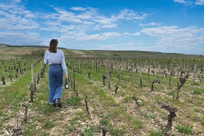 Sancerre Small Group Wine Day Trip with Wine Tastings and Lunch - Who Will Love This Tour?