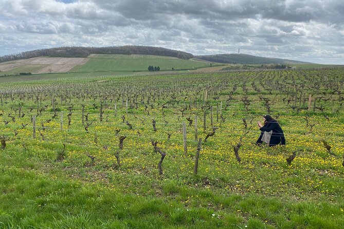 Sancerre Small Group Wine Day Trip With Wine Tastings and Lunch - Price, Guarantee, and Booking