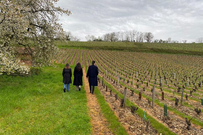 Sancerre Small Group Wine Day Trip With Wine Tastings and Lunch - Reviews and Validity
