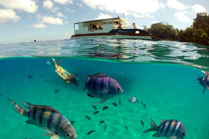 Sancho Bay Swim From Fernando De Noronha - Cruise Overview and Inclusions