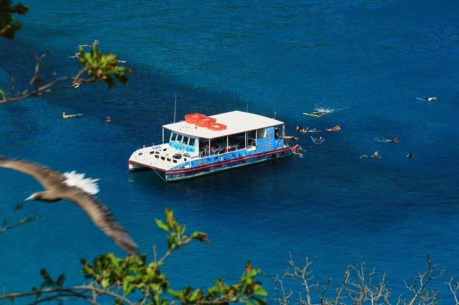 Sancho Bay Swim From Fernando De Noronha - Pickup Points and Start Time