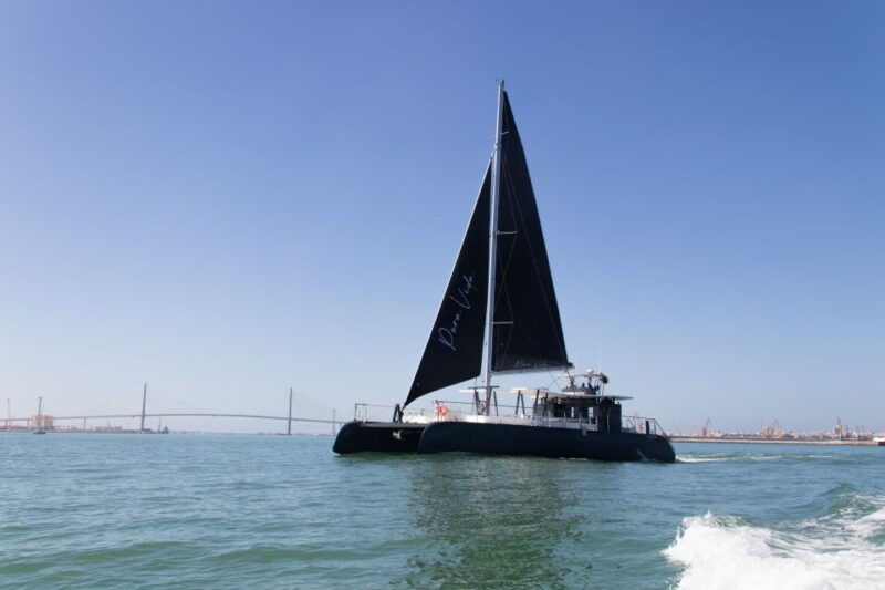 Sancti Petri: Catamaran Cruise With Swim Stop and Lunch - Itinerary and Features
