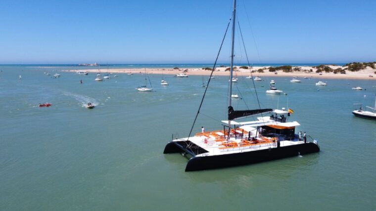 Sancti Petri: Catamaran Cruise With Swim Stop and Lunch - Swimming and Activities
