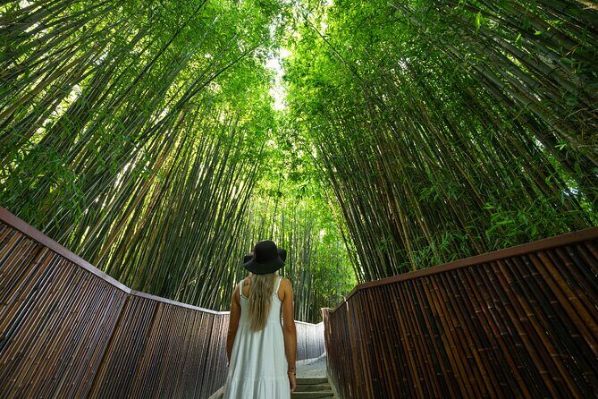 Sanctuary Mountain Ancient Forest Walk & Hamilton Gardens Tour - Practical Details and Value