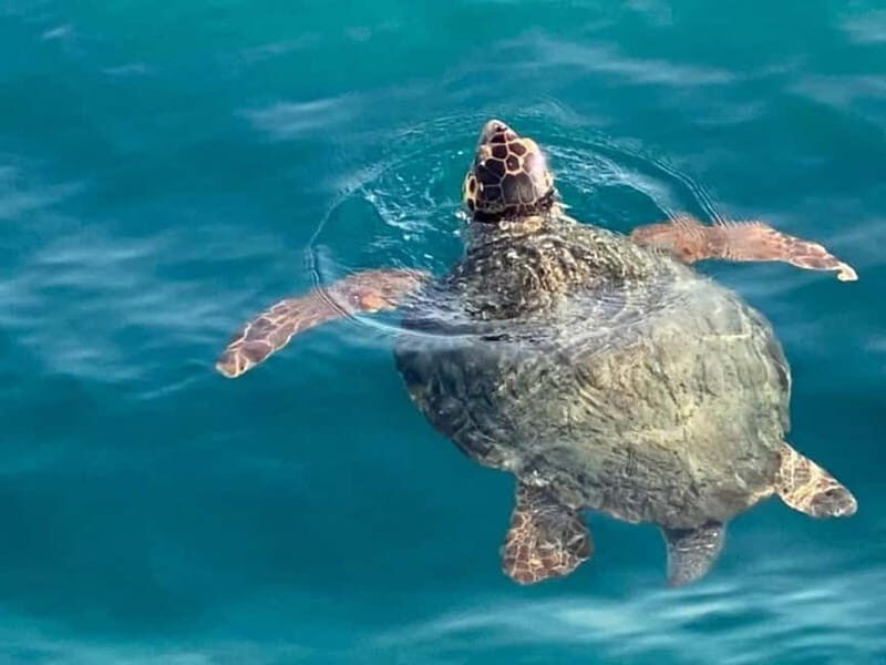 Sand And Sea Private Self Drive Speedboat Rental No Licence - FAQs