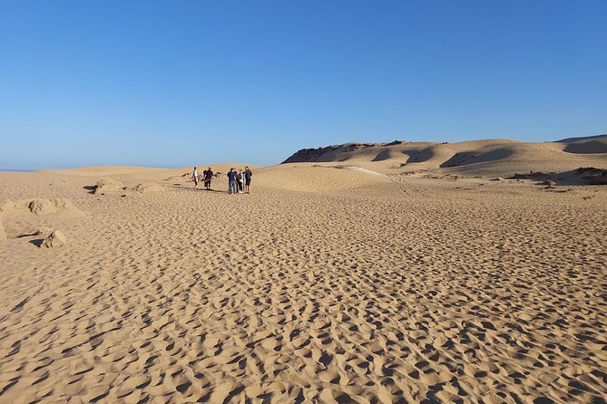 Sand Boarding / Surfing From Agadir Half Day - The Sum Up