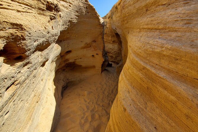 Sand-bording Half Day Experience With Lunch From Agadir. - The Sum Up