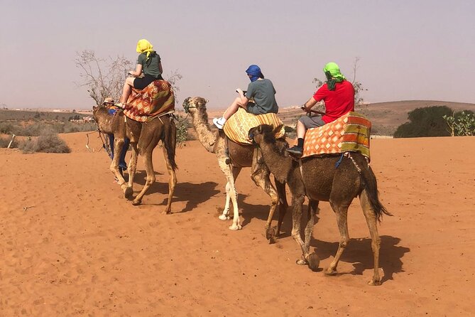 Sand Dunes With Camel Ride From Agadir and Taghazout - Good To Know