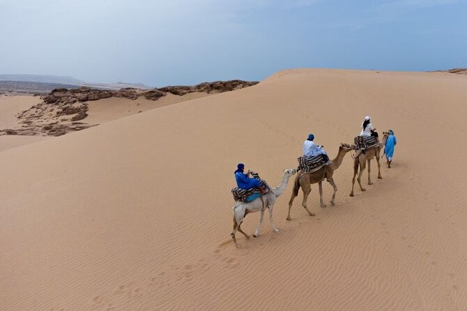 Sand Dunes With Camel Ride From Agadir and Taghazout - Pricing Details