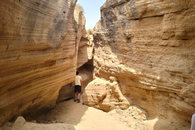 Sand Surfing and Sandboarding at Agadir - Pricing and Value