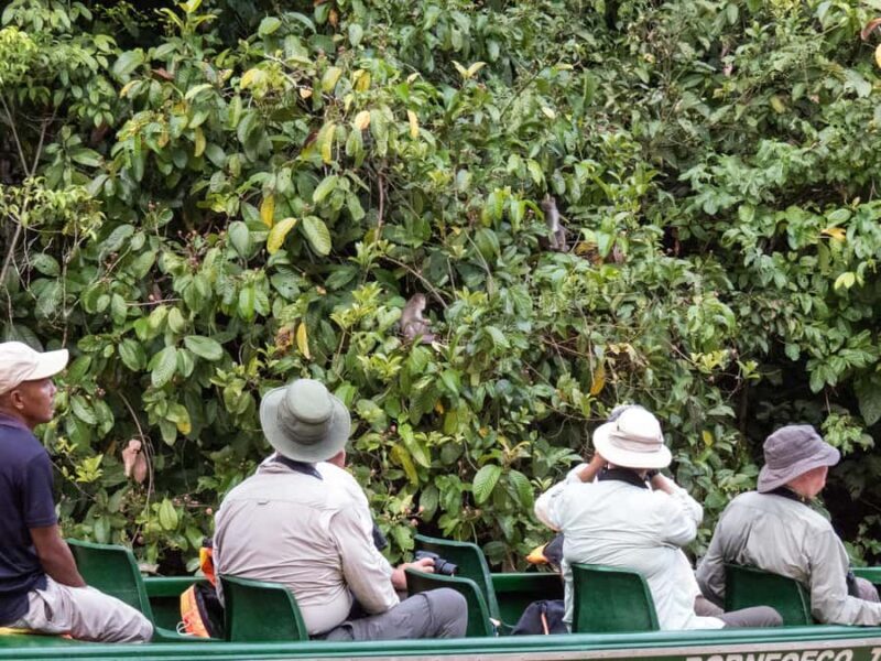 Sandakan: 2-Day Kinabatangan River Wildlife Tour & Cave - Exploring the 2-Day Kinabatangan Wildlife Tour  