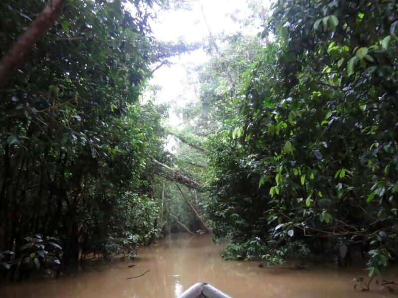 Sandakan: 2-Day Kinabatangan River Wildlife Tour & Cave - Final Thoughts: Who Should Take This Tour?