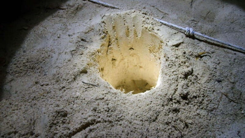 Sandakan : 2 Days 1 Night At Turtle Island - FAQ