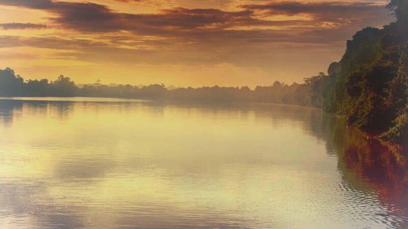 Sandakan: 2 Days 1 Night Bilit, Kinabatangan River Wildlife - Good To Know