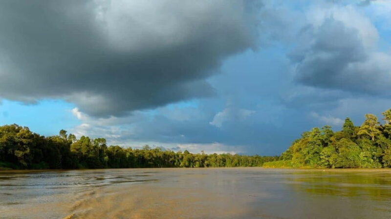 Sandakan: 2 Days 1 Night Bilit, Kinabatangan River Wildlife - Who Is This Tour Best For?