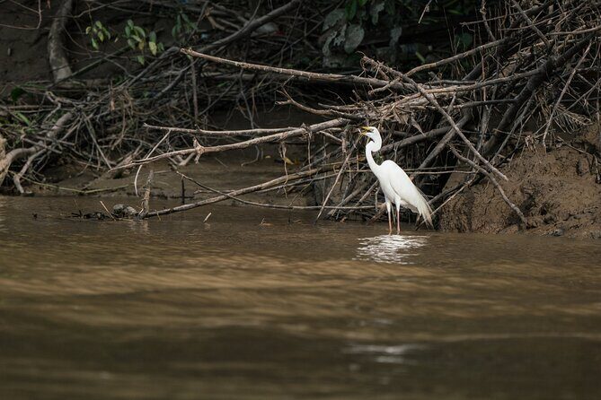 Sandakan: 2D1N Sukau Rainforest Wildlife Journey and Cruises - Final Words