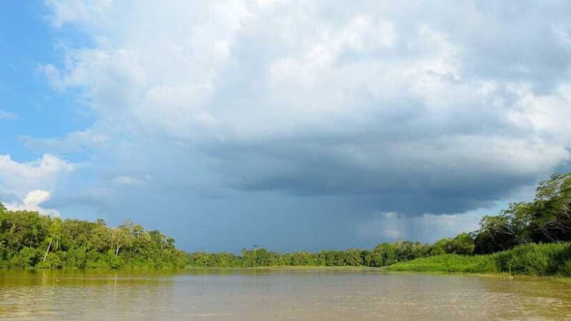 Sandakan : 3-Day Kinabatangan River Wildlife Adventure - Final Thoughts