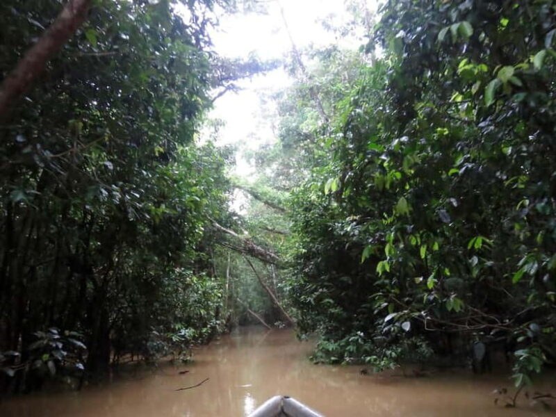 Sandakan: 3D2N The Wild Heart of Borneo River Secrets - Practical Tips for Future Travelers