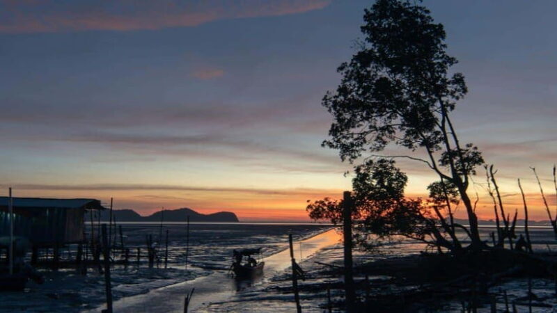 Sandakan : Fireflies and Mangrove Cruise with Dinner - Why This Tour is Worth Considering  