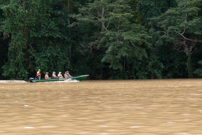 Sandakan: Gomantong Cave Echoes and Kinabatangan Cruise - A Deep Dive into the Experience