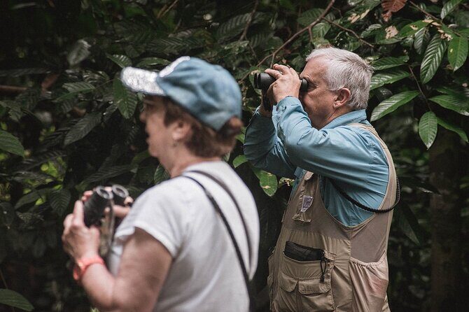 Sandakan: Gomantong Cave Echoes and Kinabatangan Cruise - The Sum Up