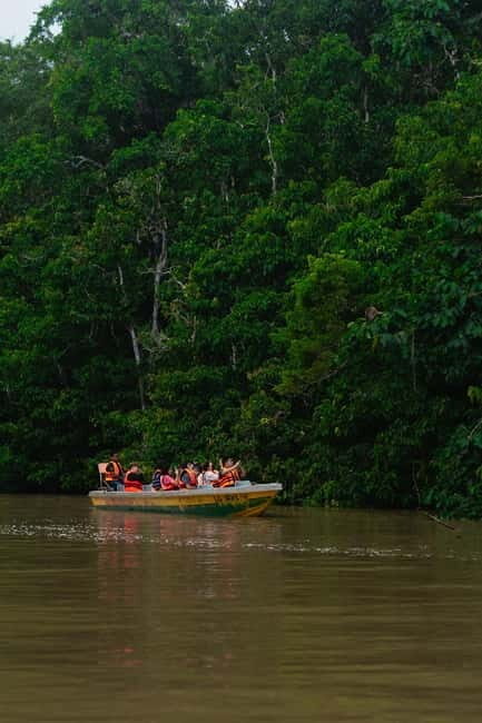 Sandakan: Kinabatangan River Wildlife Cruise with Lunch - Summary: Who is this tour best for?