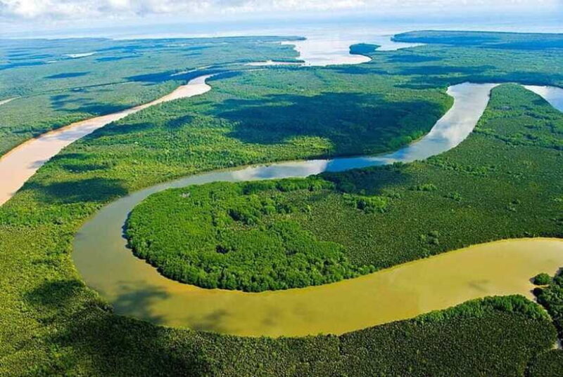 Sandakan: Kinabatangan River Wildlife Cruise with Lunch - Final Thoughts