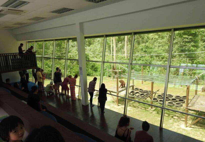 Sandakan: Orangutan Sanctuary Shared Day Trip Tour - Final Thoughts