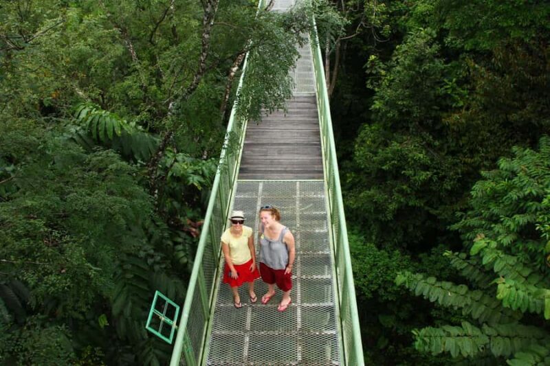 Sandakan: Private City Tour, Rainforest, Jungle Walk, Birds - Sandakan: Private City Tour, Rainforest, Jungle Walk, Birds