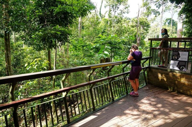 Sandakan: Private City Tour, Rainforest, Jungle Walk, Birds - Good To Know
