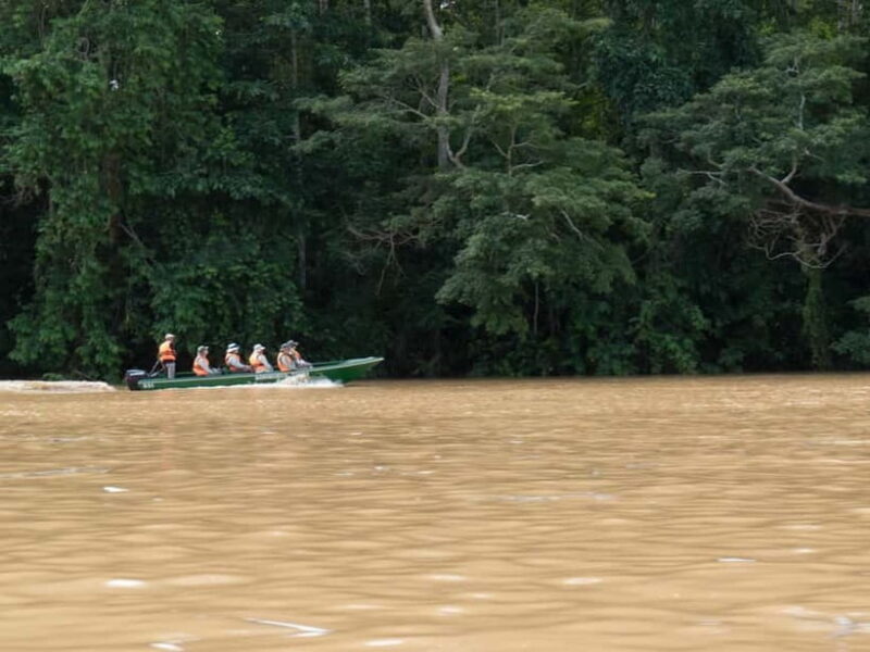 Sandakan: Sukau Rainforest Wildlife Journey & Dawn Cruises - An In-Depth Look at the Sandakan Sukau Rainforest Experience