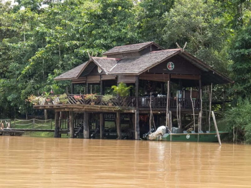 Sandakan: Sukau Rainforest Wildlife Journey & Dawn Cruises - Good To Know