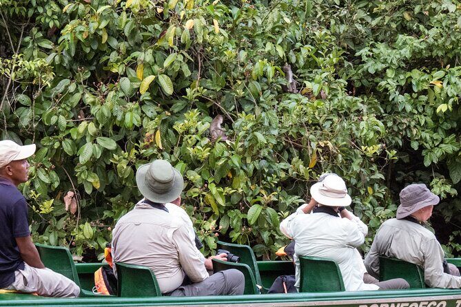 Sandakan Wild Cruise Ticket in Sunrise Sunset or Night Tour - Introduction to the Sandakan Wild Cruise Experience