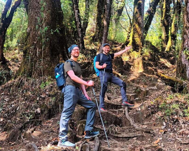 Sandakphu Singalila Ridge Trek - 6 Days - The Sum Up