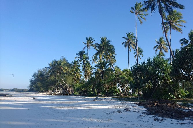 Sandbank Picnic and Dhow Sailing With Seafood Lunch - Meeting and Pickup Details