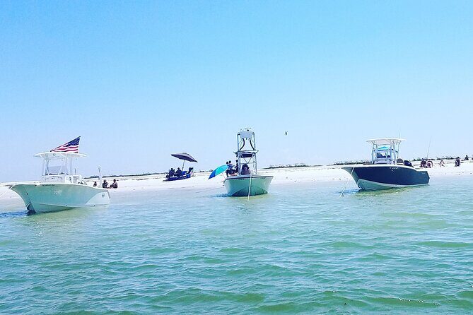 Sandbar, Beach, Dolphin Watching Cruise Sarasota, Florida - Good To Know