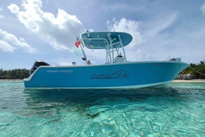 Sandbar, Beach, Dolphin Watching Cruise Sarasota, Florida - The Value of the Tour