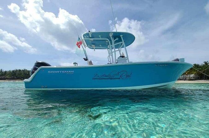 Sandbar, Beach, Dolphin Watching Cruise Sarasota, Florida - Who Should Book This Tour?